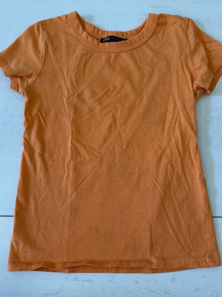 Zara Burnt Orange Short Sleeve Tee